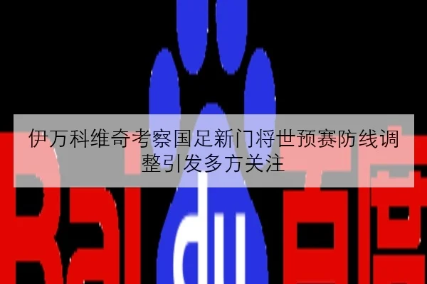 伊万科维奇考察国足新门将世预赛防线调整引发多方关注